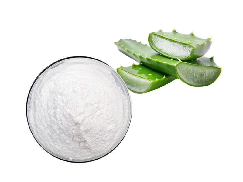 Aloe Vera Extract: The Dual-Action Bio-Modulator for Intestinal Resurfacing and Colonic Clearance