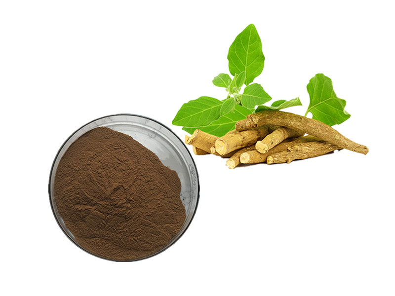 Ashwagandha (Withanolides): The Neuro-Endocrine Adaptogen for Homeostatic Resilience