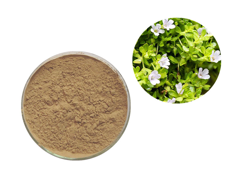 Bacopa Monnieri: The "Synaptic Architect" for Neuro-Regeneration and Cognitive Consolidation