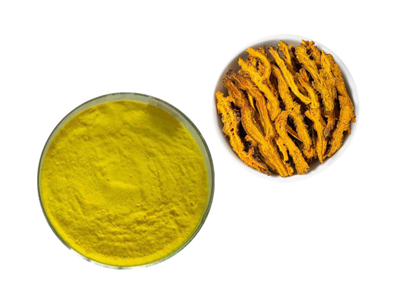 Berberine: The Metabolic Master Switch and Mitochondrial Modulator