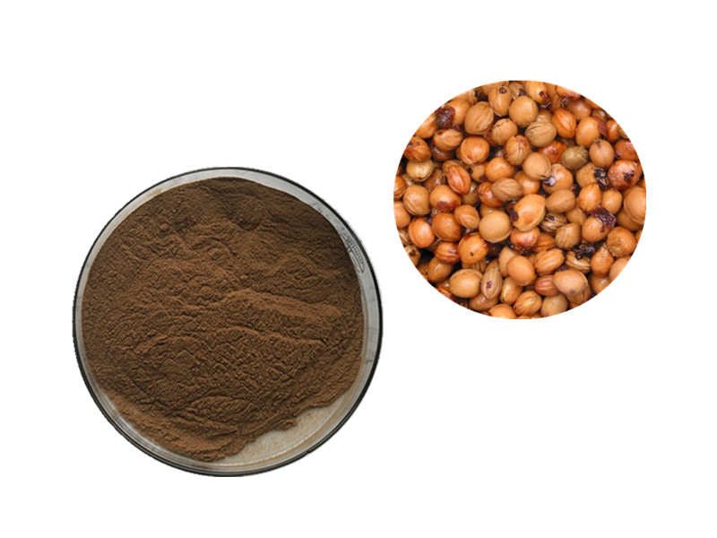 Bush Cherry Extract: The Hydro-Kinetic Regulator for Intestinal Lubrication and Transit