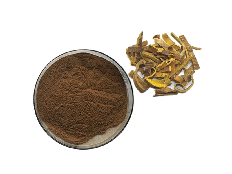 Cascara Sagrada: The Neuromuscular Catalyst for Colonic Clearance and Intestinal Resurfacing