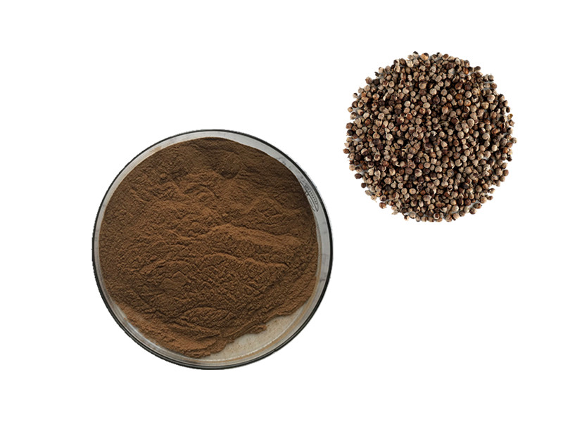 Chasteberry Extract: The Dopaminergic Modulator for Endocrine Harmony and Female Vitality