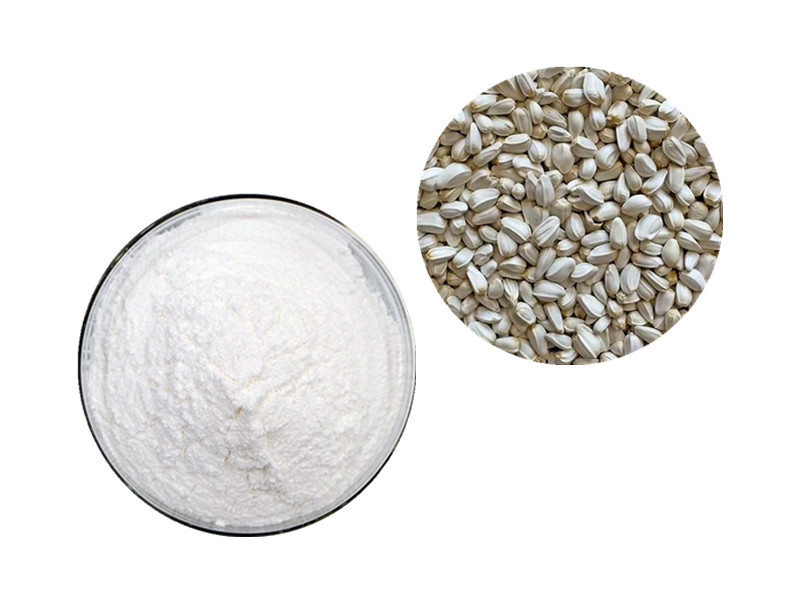 Conjugated Linoleic Acid (CLA): The Molecular Architect of Nutrient Partitioning