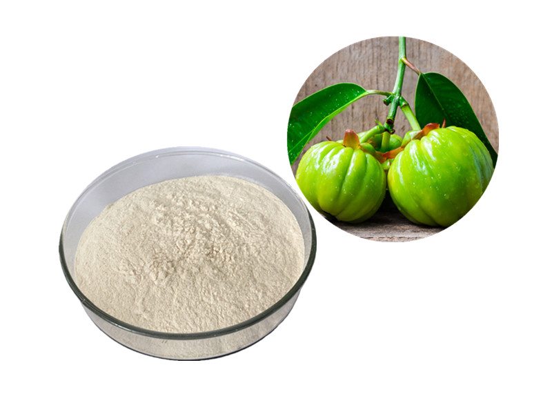 Garcinia Cambogia: The Metabolic Gatekeeper of Lipogenesis and Satiety