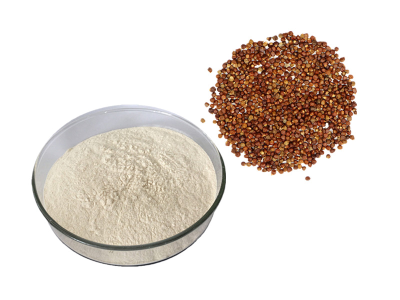 Grains of Paradise (12.5% 6-Paradol): The Metabolic Switch for Brown Fat Activation