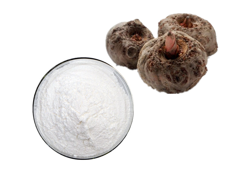 Konjac Extract (Glucomannan): The Macromolecular Matrix for Glycemic Control and Satiety