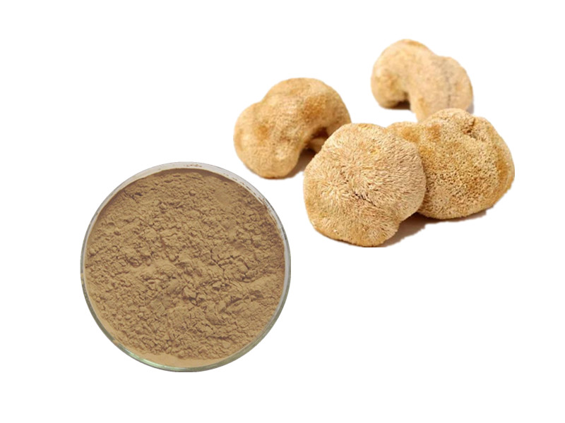Lion’s Mane Extract: The Neuro-Regenerative Catalyst for Cognitive Enhancement and Synaptic Plastici
