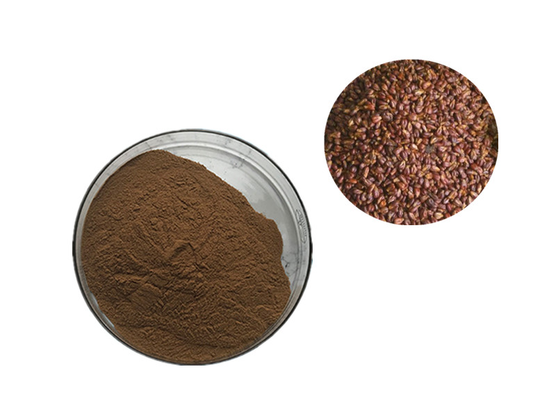 Grape Seed Extract (OPC 95%): The Molecular Shield Against Oxidative Stress