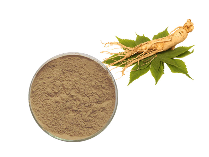 Panax Ginseng: The Adaptogenic Engine for Immunological Vigilance and Ergogenic Peak Performance