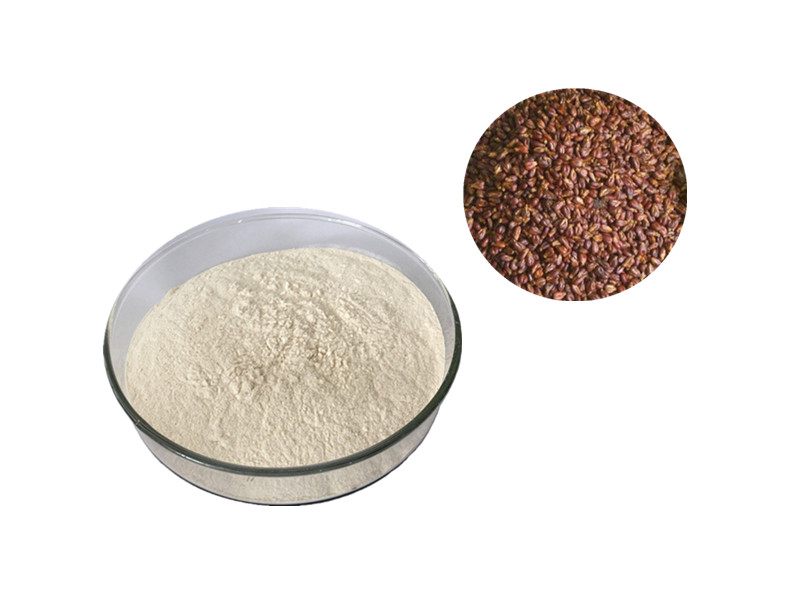 Psyllium Husk: The Viscous Bio-Sieve for Gastrointestinal and Cardiovascular Homeostasis