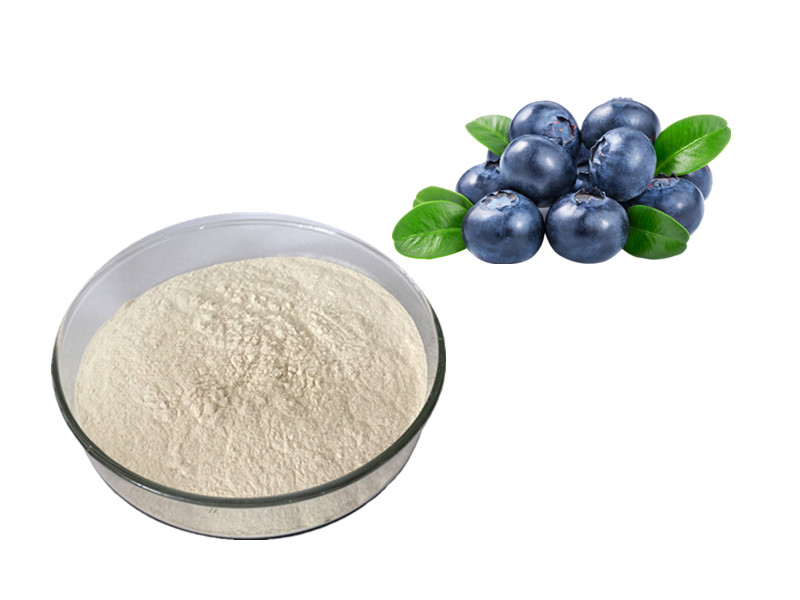 Pterostilbene: The "Methylated Longevity Catalyst" for Enhanced Bioavailability and Cognitive Resili