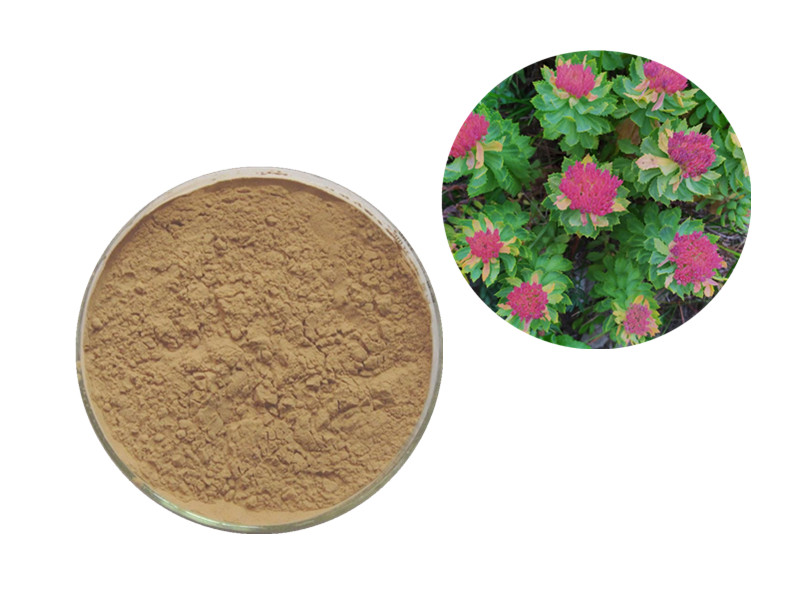 Rhodiola Rosea: The "Bioenergetic Adaptogen" for Cognitive Resilience and Physical Endurance