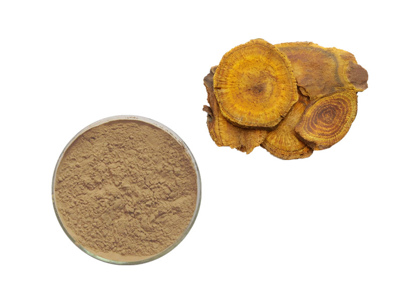 Rhubarb Root Extract: The Anthranoid Regulator for Deep Colonic Clearance and Hepatic Synergy