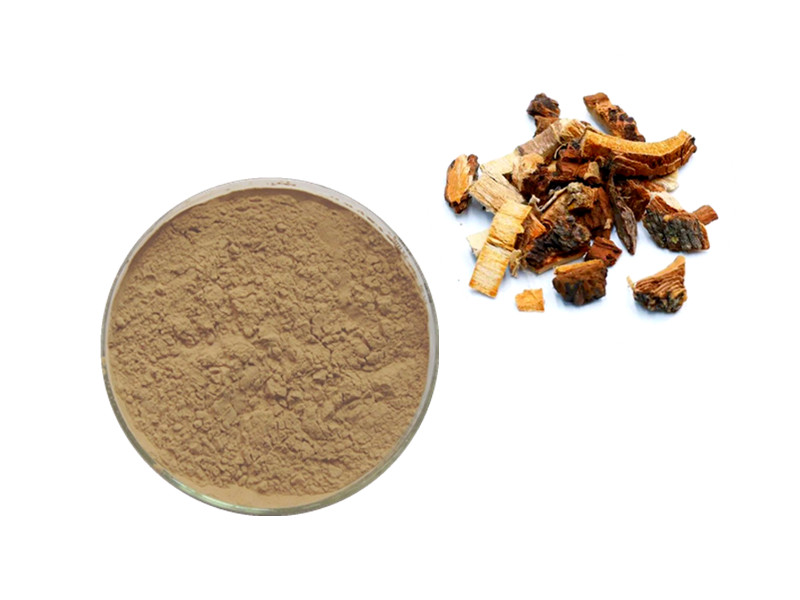 Slippery Elm Bark: The Macromolecular "Biological Bandage" for Mucosal Integrity and GI Soothing