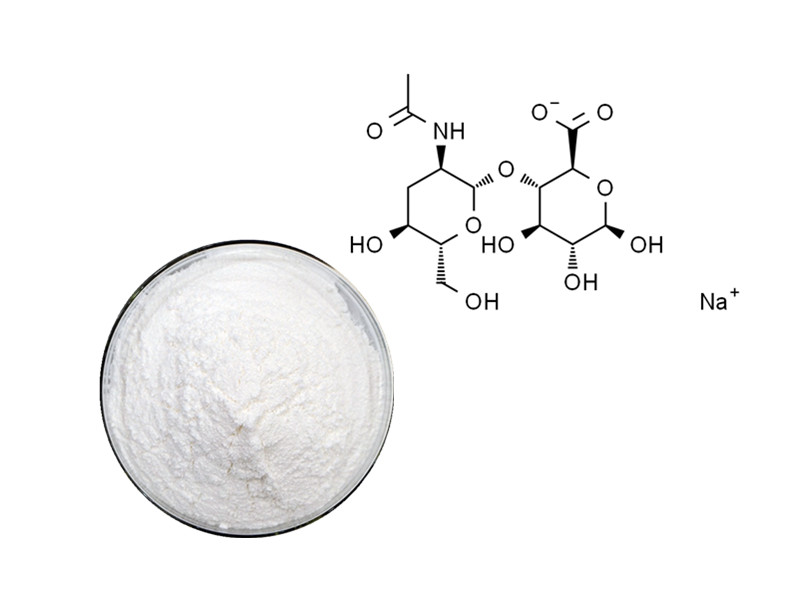 Hyaluronic Acid: The Molecular Sponge for Joint Lubrication and Tissue Hydration