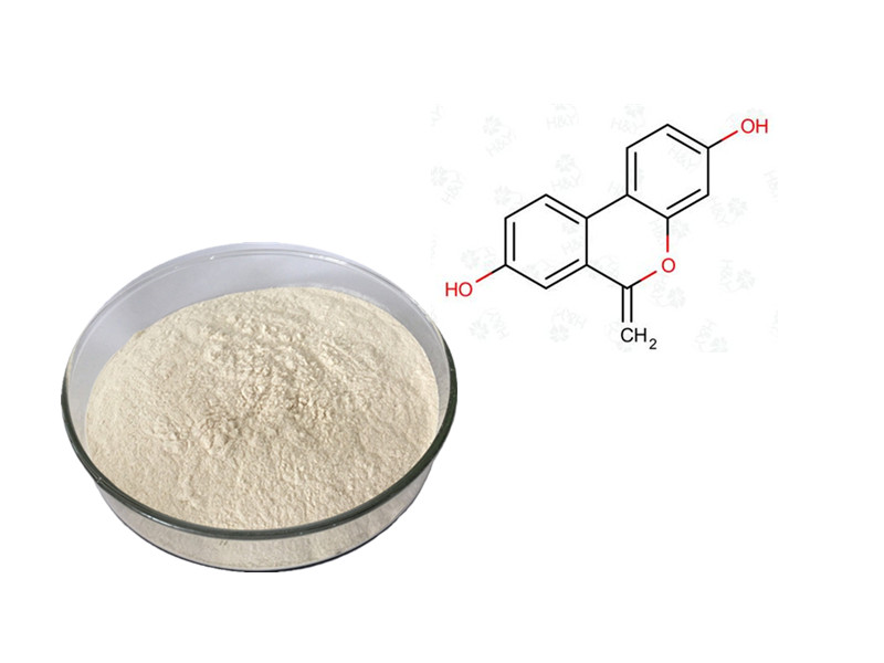 Urolithin A: The Postbiotic Breakthrough for Mitophagy and Cellular Rejuvenation