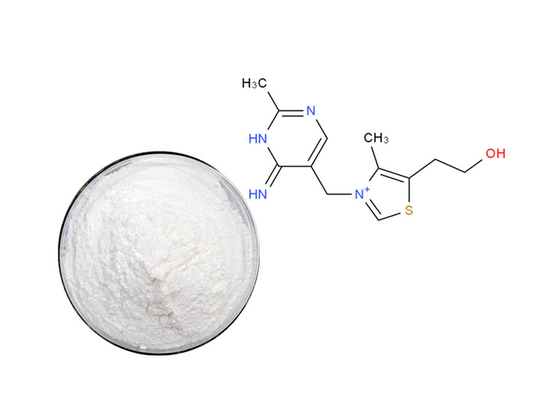 Vitamin B1: The Bioactive Spark for Cellular Energy and Neurological Resilience