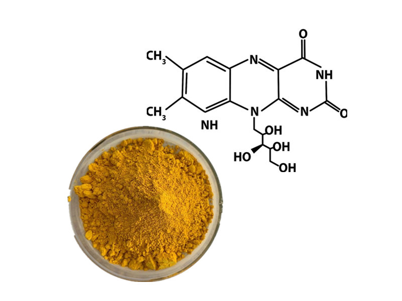 Vitamin B2: The Essential Coenzyme for Metabolic Vitality and Anti-Inflammatory Defense