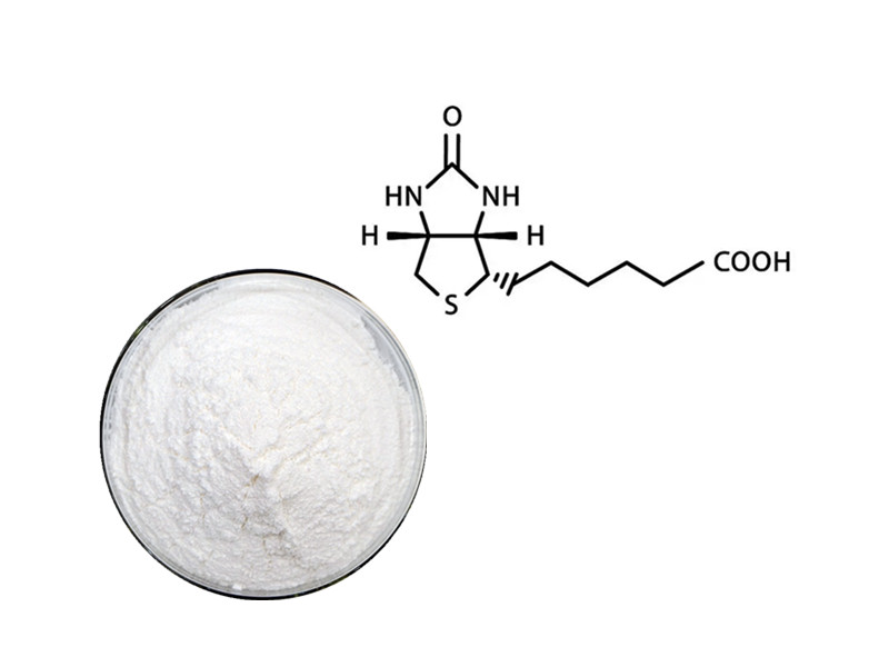 Vitamin B7: The Enzymatic Architect of Keratin Infrastructure and Lipid Metabolism