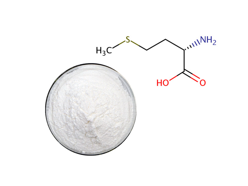 L-Methionine: The Essential Sulfur-Based Catalyst for Muscle Architecture