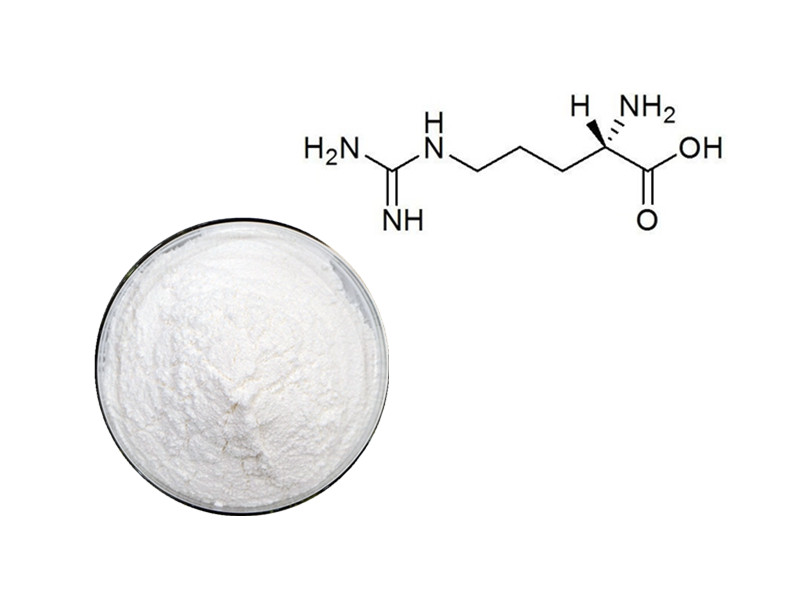 L-Arginine: The Essential Precursor for Nitric Oxide and Vasodilatory Health