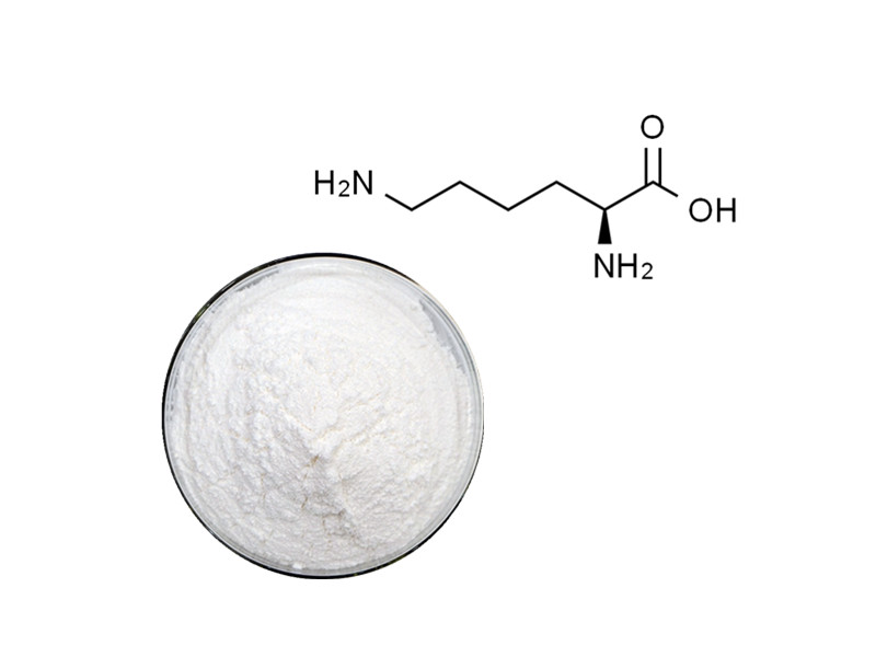 L-Lysine: The Anabolic Architect for Muscle Recovery and Immune Defense