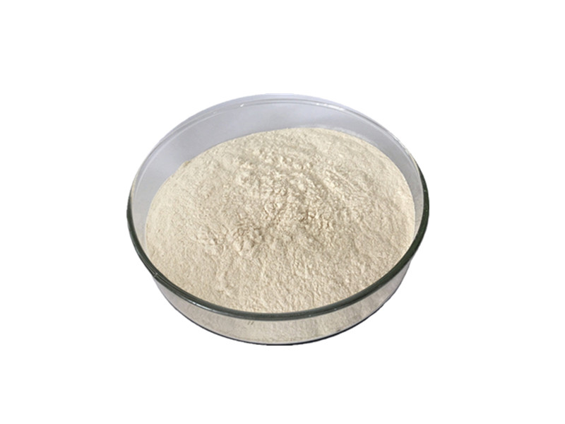 Bentonite Clay: The Biophysical Adsorbent for Gastrointestinal Sequestration and Internal Detoxifica