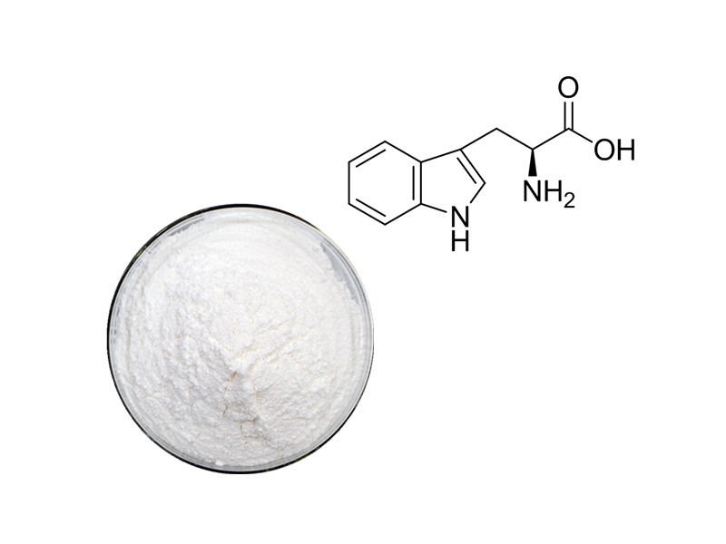 L-Tryptophan: The Essential Precursor for Serotonin Synthesis and Circadian Harmony