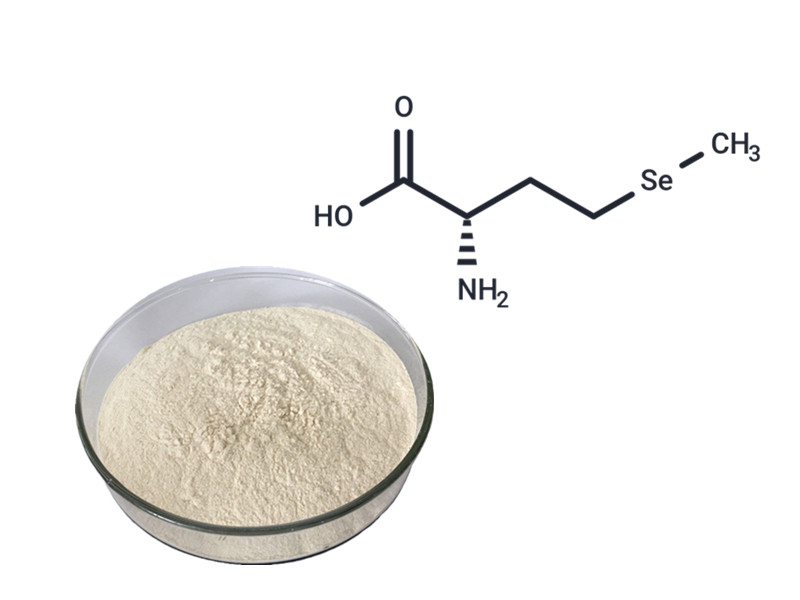 Selenium: The Essential Trace Mineral for Antioxidant Defense and Endocrine Precision