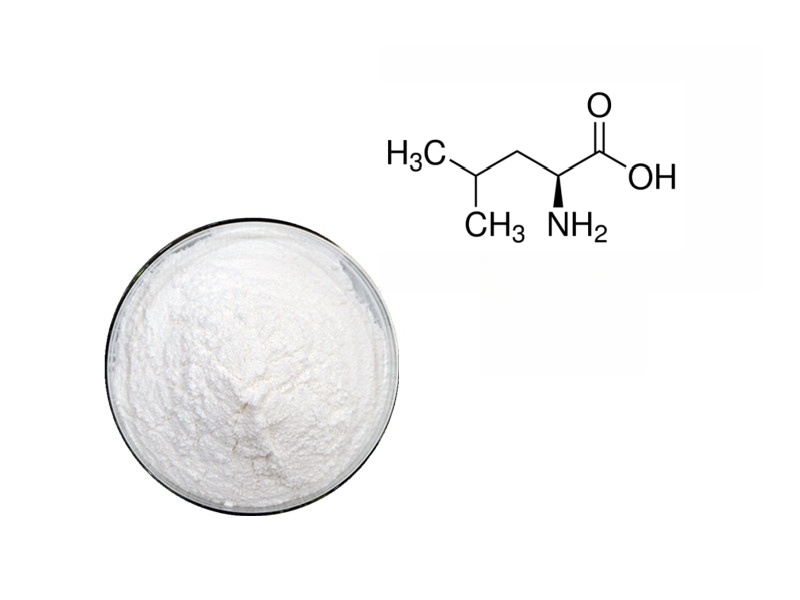 The Anabolic Trigger: Understanding the Role of Leucine in Muscle Hypertrophy