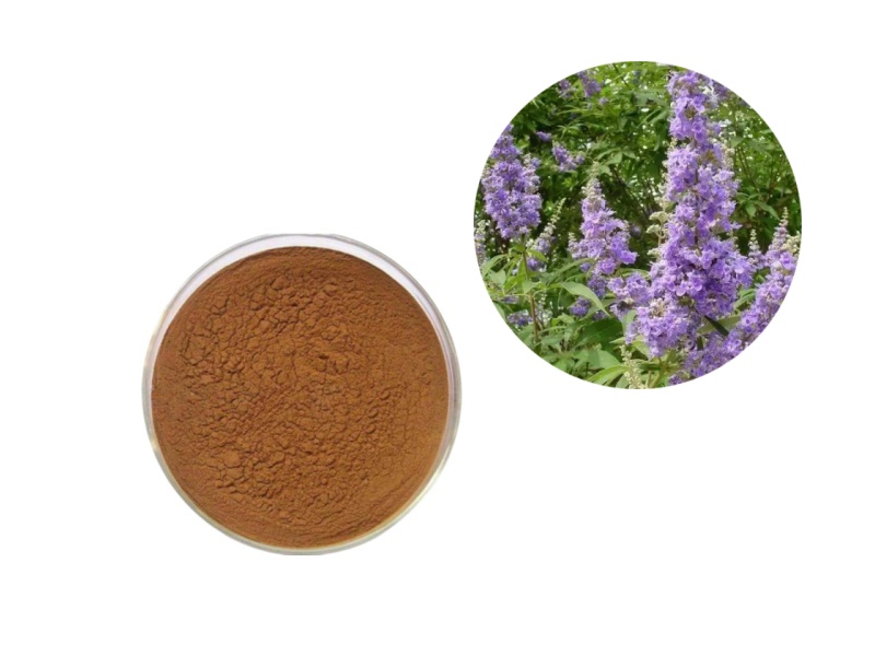 The Role of Vitex Extract in Modern Supplements: A Master Hormone Regulator