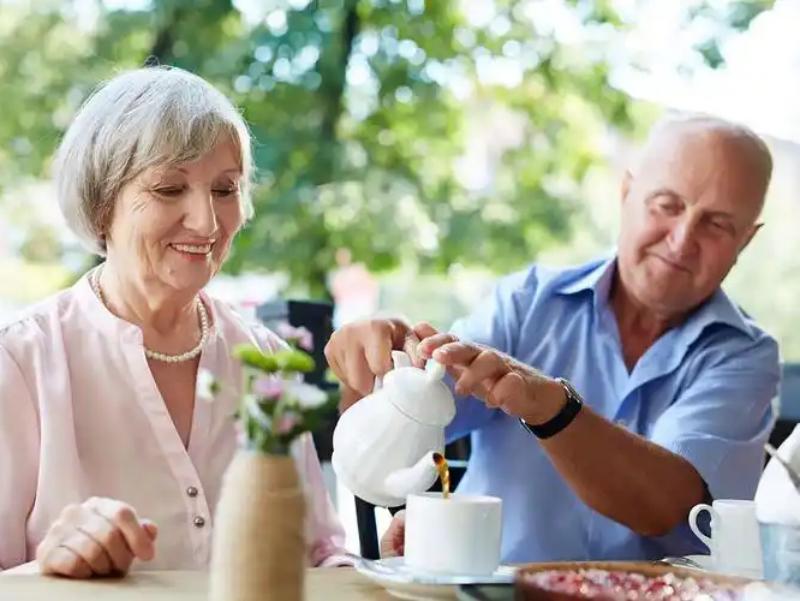 The Role of Hibiscus Extract in Supporting a Clean Urinary Tract