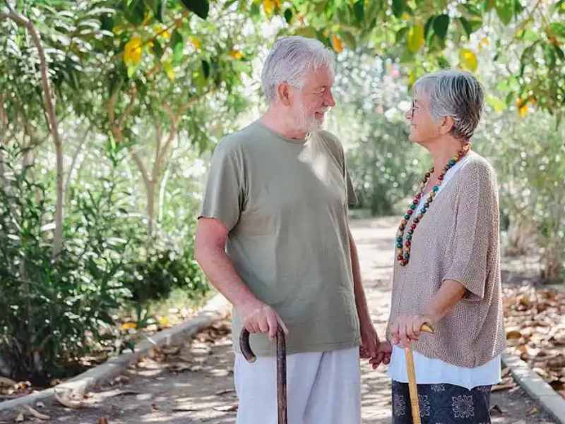 Natural Diuretics: How Dandelion Root Helps Flush the Bladder