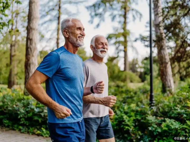 Hyaluronic Acid for Bladder Lining Repair: Restoring the GAG Layer Naturally