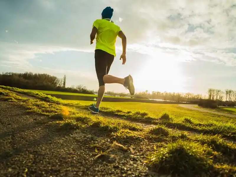 Are Herbal Liver Detoxes Better Than Synthetic Glutathione Precursors?