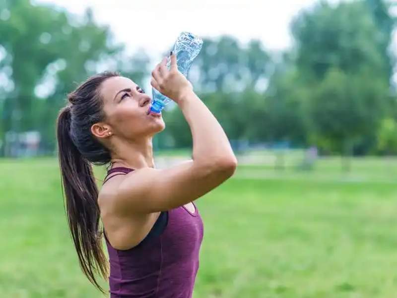 Metabolic Clearance: How to Flush Uric Acid Naturally Using 4 Science-Backed Herbal Diuretics