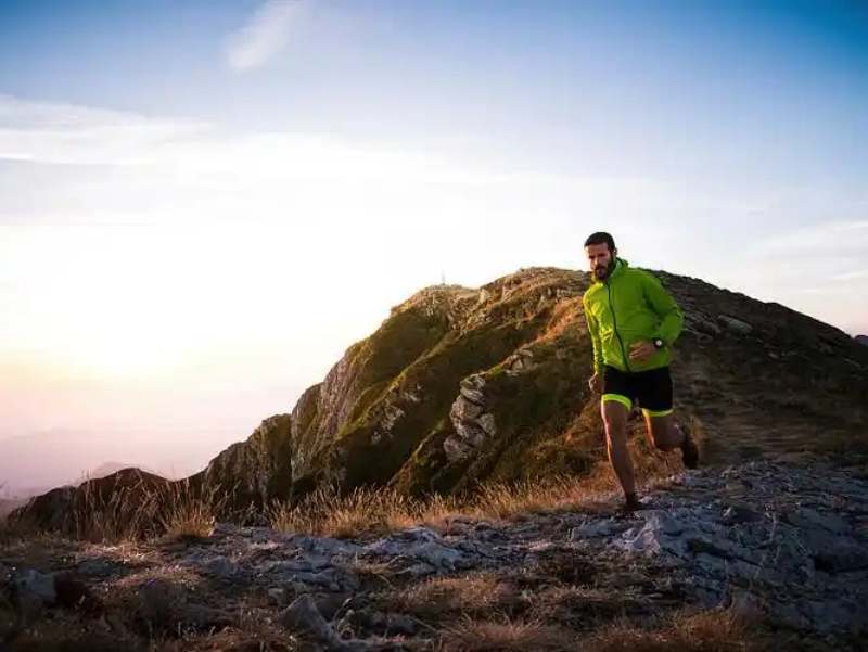 The Metabolic Synergy: Liver and Thyroid Support via Iodine and Selenium