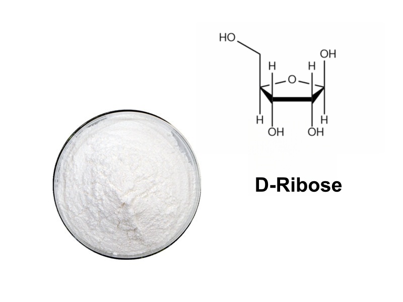D-Ribose for Metabolic Weight Loss: The Science of Cellular ATP and Mitochondrial Fat Burning