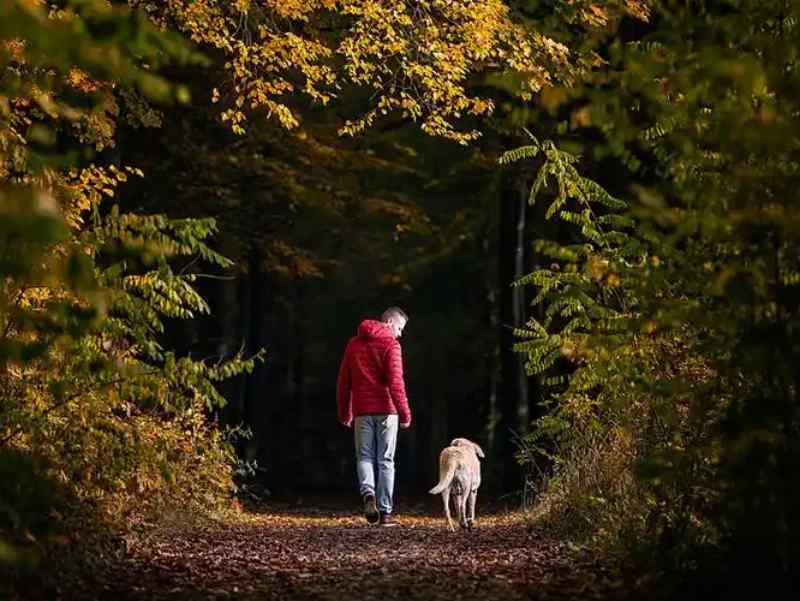 Vitamin D3 and Zinc: Sourcing Essential Micronutrients for Seasonal Mood Support Formulations