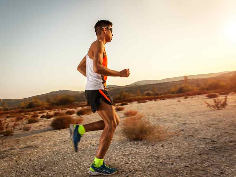 Sourcing Bulk Guggul Extract for Private Label Cardiovascular and Lipid Regulation Supplements