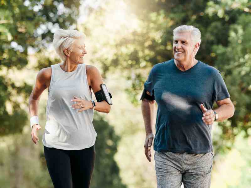 Magnolia Bark vs. L-Theanine: Formulating Nighttime GABA Activation vs. Daytime Alpha-Wave Focus