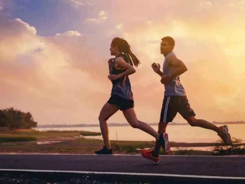 Glucosamine Sulfate vs. Boswellia Serrata: Balancing Structural Cartilage Support with Inflammation