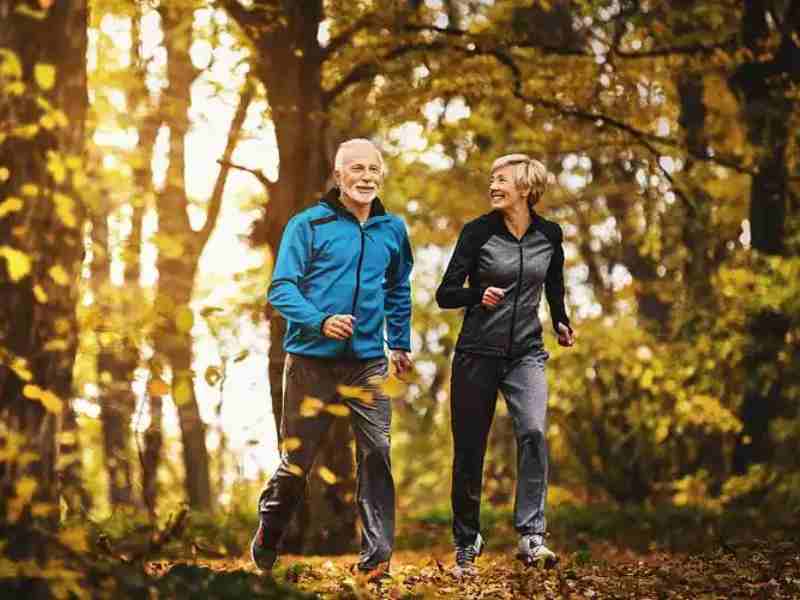 Undenatured Type II Collagen vs.Standard Chondroitin: Why 40mg Beats 1200mg in Premium Joint Capsule