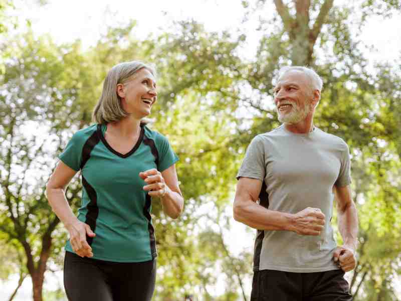 Choline Bitartrate vs. TMG (Betaine): Sourcing the Best Lipotropic Agents to Prevent Fatty Liver