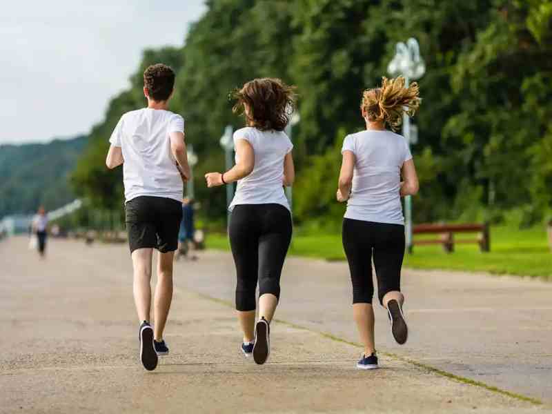 EGCG vs. Fucoxanthin: UCP1 Fat Browning Synergy