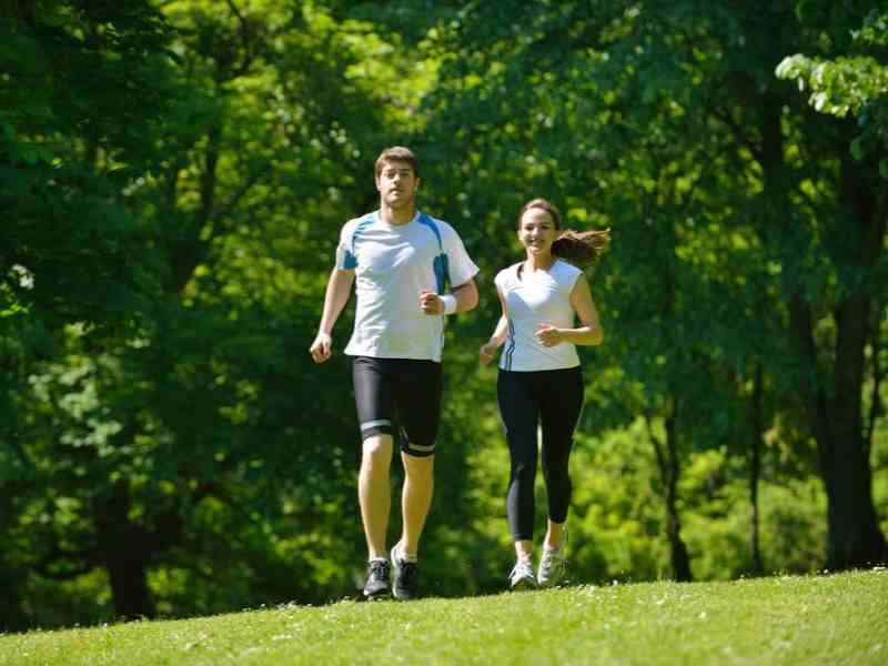 High-Dose ALA Side Effects: Preventing Heartburn and Blood Sugar Crashes