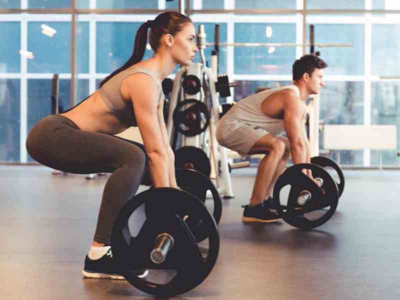 Caralluma vs. 5-HTP: Sourcing Hunger Signal Blockers vs. Craving Suppression
