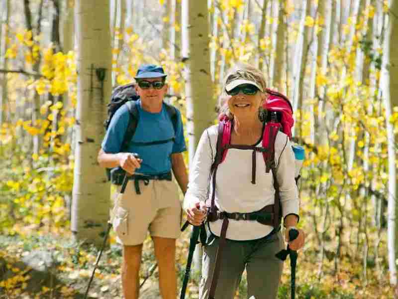 Cernitin vs. Saw Palmetto: Fast Nocturia Relief