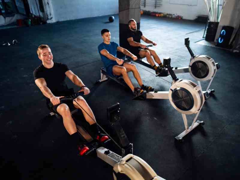 Ginsenosides in Pre-Workout: Science, Dosage, and Impact on Energy, Focus, and Endurance